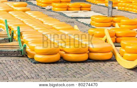 Cheese market in Alkmaar, The Netherlands