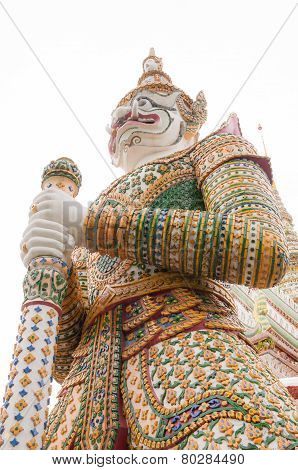 Thai giant