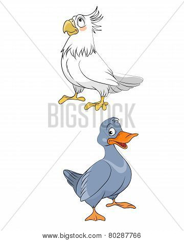 Two Different Bird