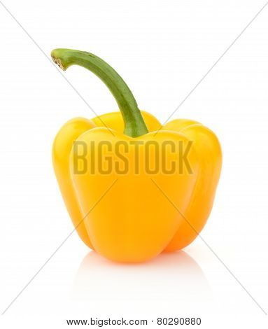 Single Yellow Pepper Close-up View Isolated