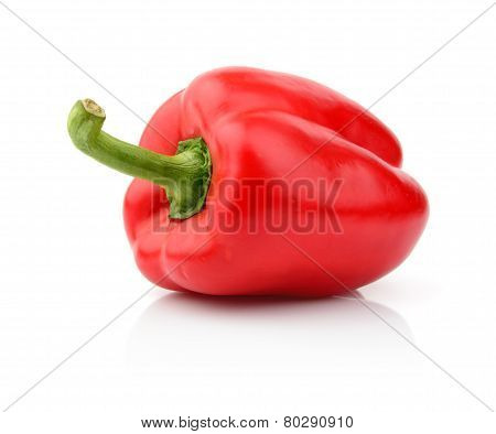 Single Red Pepper Close-up View Isolated White