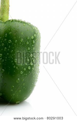 Single Wet Green Pepper Close-up View Isolated