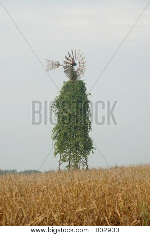 Větrný mlýn