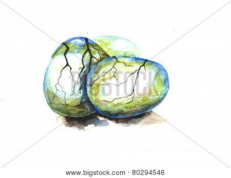 eggs