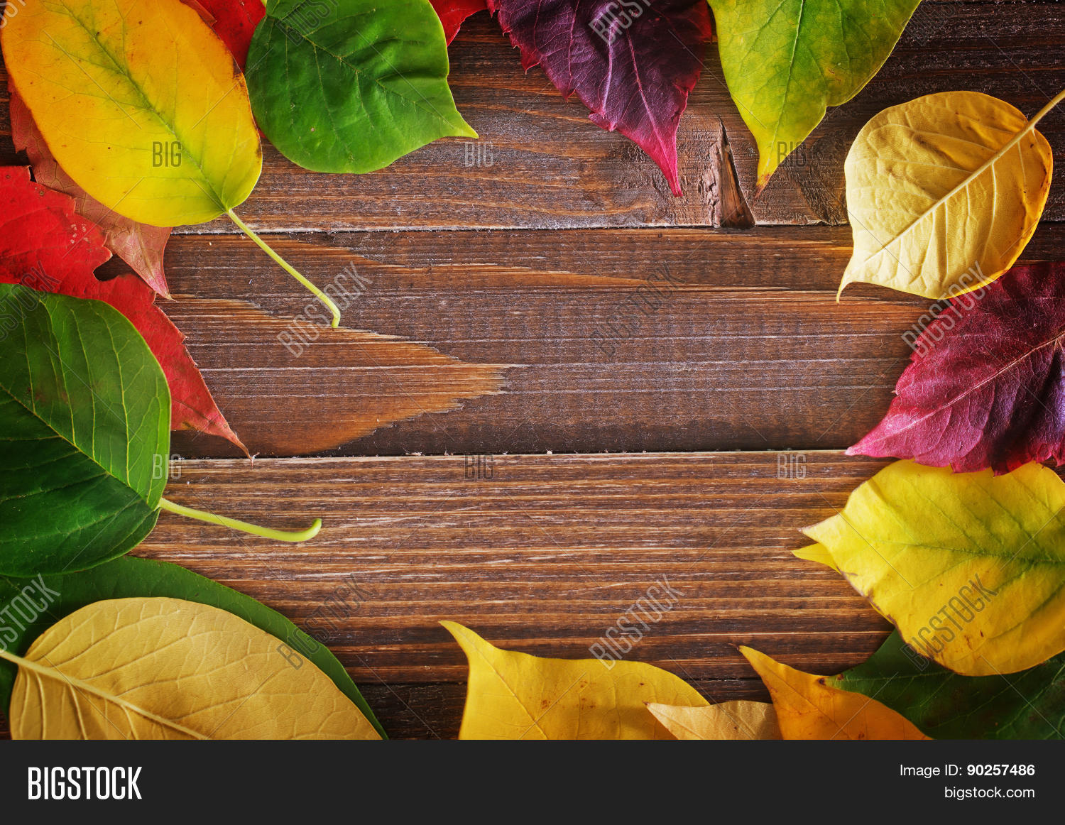 Automn Background Image Photo Free Trial Bigstock