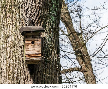 Nest Box On A Tree In A Public Park