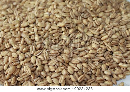 farro