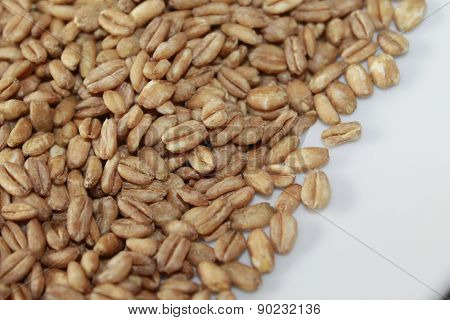 farro