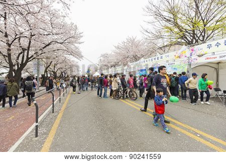Unidentified People Walking In Yeouido Spring Flower Festival