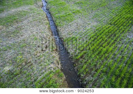 Smal Stream