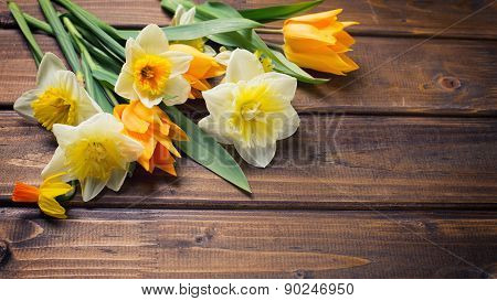 Background With Fresh Tulips And Narcissus