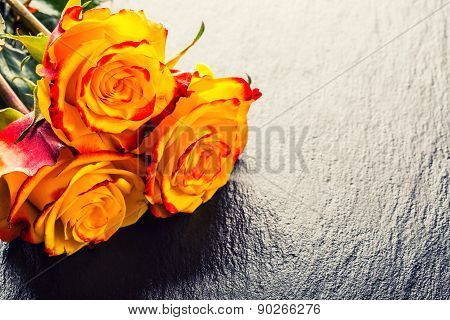 Orange rose. Yellow rose. Several orange roses on Granite background