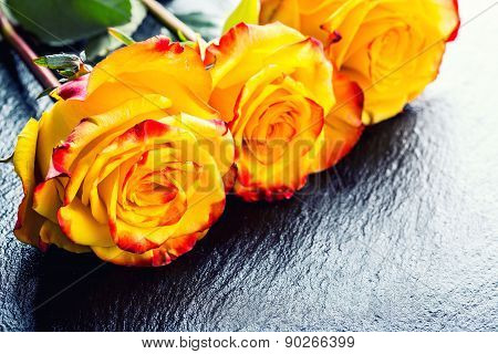 Orange rose. Yellow rose. Several orange roses on Granite background
