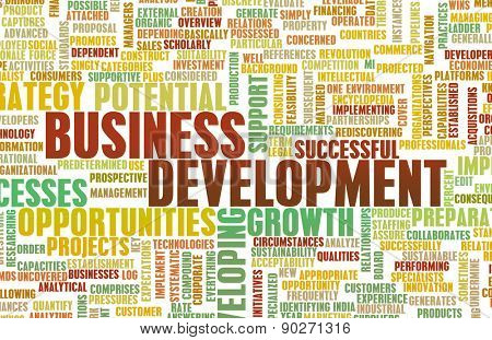 Business Development Major Points for a Manager