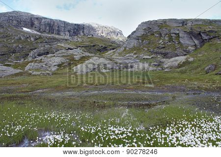 View on the mountains.