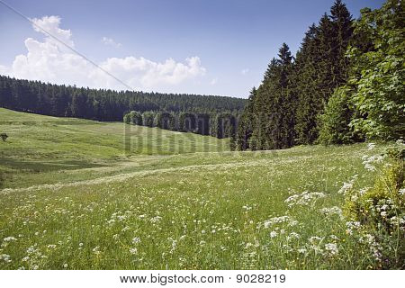 Sommarbete