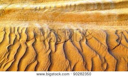Desert Lines