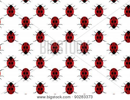 Ladybugs pattern