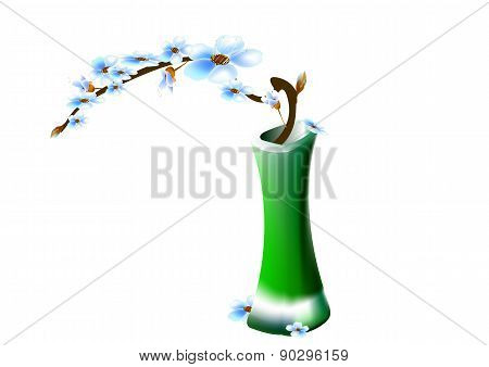 Cherry Blossoms