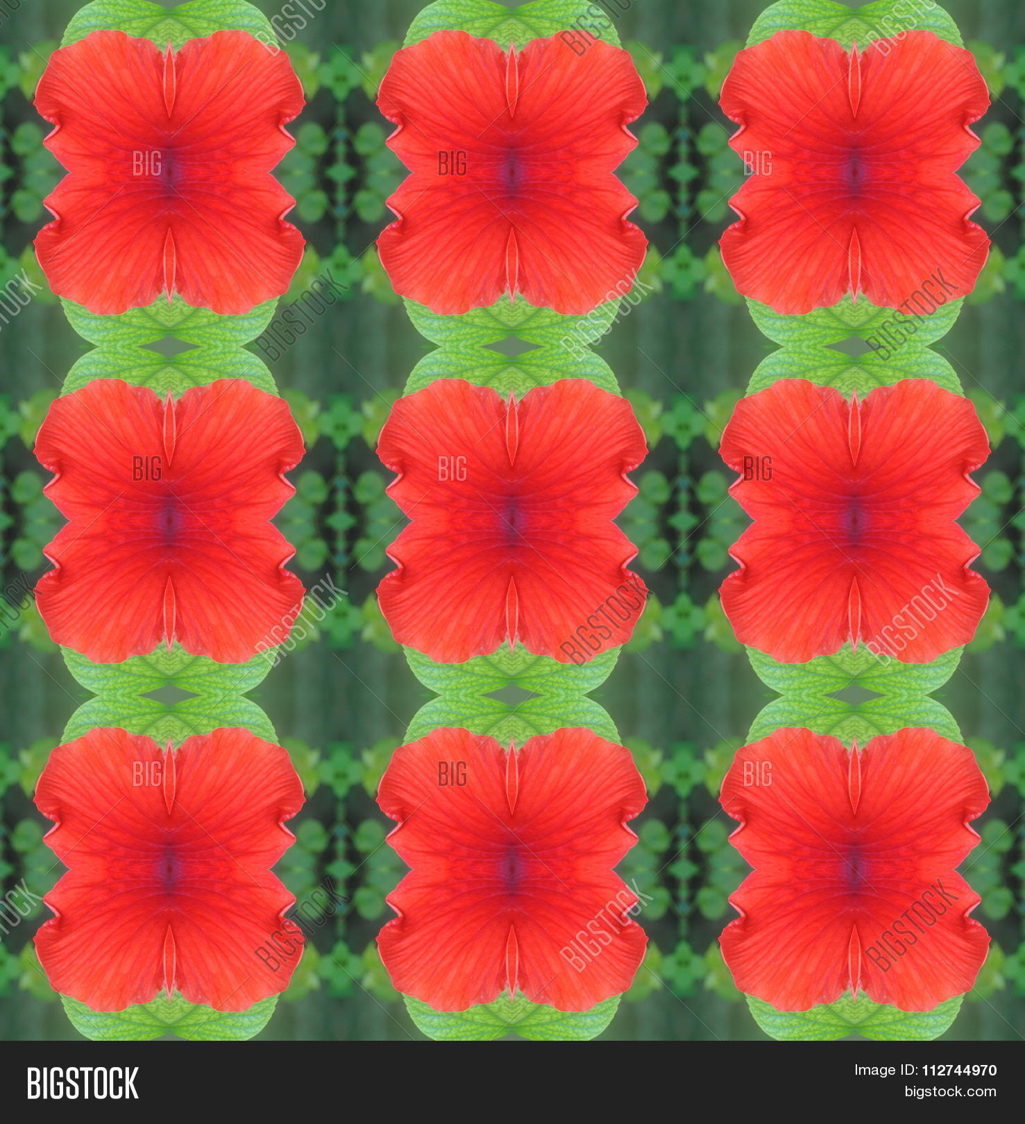 Image Preview