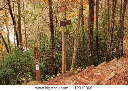 Helton Creek Falls Trailhead