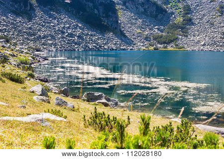 Beautiful Lake in the mountains near Bansko, Bulgaria and Water crowfoot