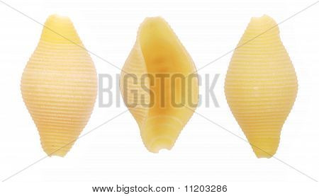 conchiglie พาสต้าหอย