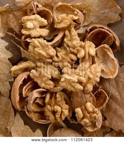 Walnuts without shell and nutshell