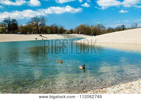 Swan on Bundek lake in Zagreb, Croatia, morning, spring
