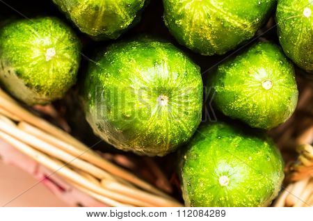 Cucumbers Tip