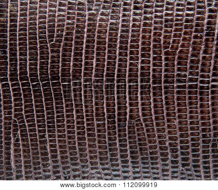 Brown Lizard Skin, Abstrat Leather Texture For Background.
