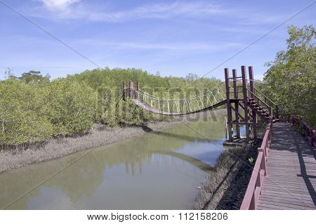 Rope Bridge