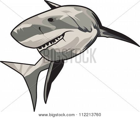 Vector illustration: toothy white shark