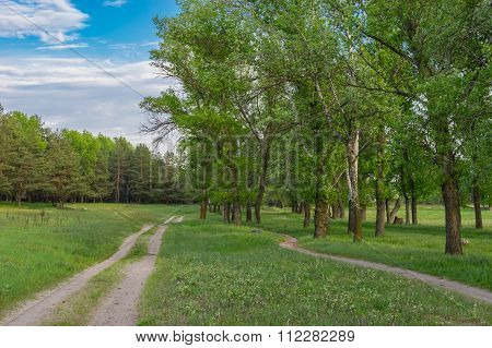 Landscape with earth road and path in central Ukraine