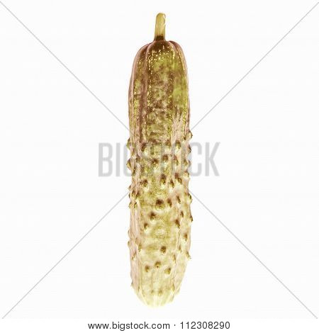 Retro Looking Cucumber Isolated