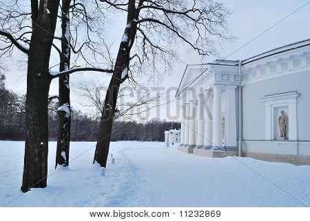 Winter auf Elagin Insel. St. Petersburg