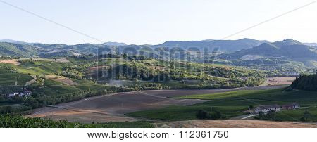 Vineyards In Oltrepo Pavese (italy)