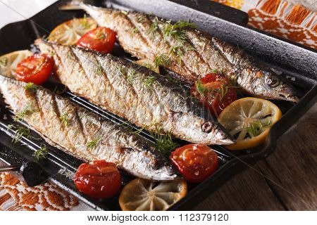 Saury Grilled With Vegetables On The Grill Pan Closeup. Horizontal