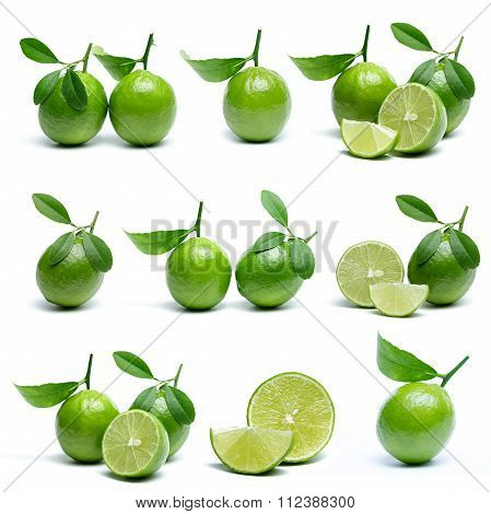 Variety of Lime isolated on white background.