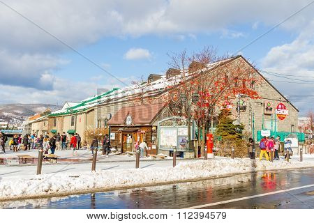 Commercial buildings around Otaru city