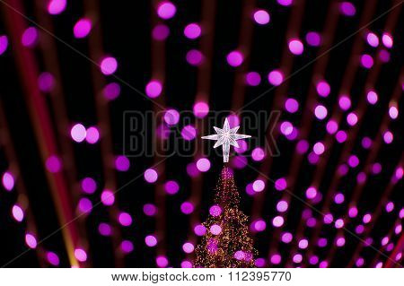 Blur Beautiful Pink Bokeh