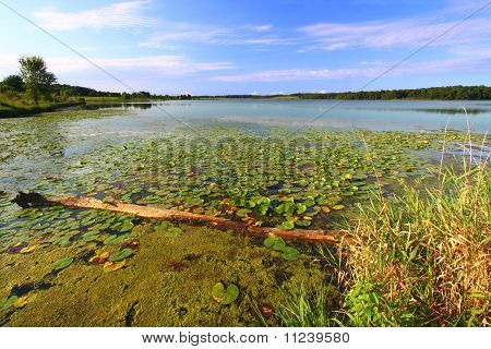 Shabbona jeziora - Illinois