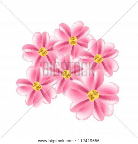 Old Rose Yarrow Flowers Or Achillea Millefolium Flowers