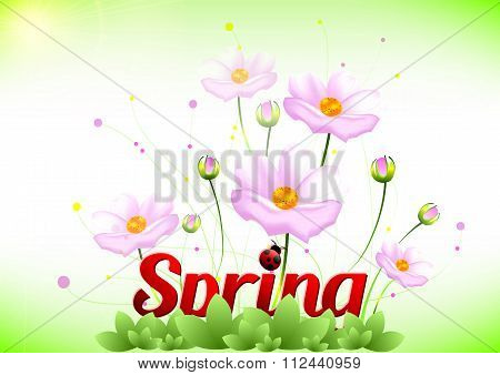 Spring Positive Postcard For Congratulations With Beginning Of Spring