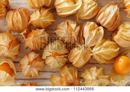 Cape Gooseberry Physalis Fruit Ground Cherry Organic Food Vegetabl