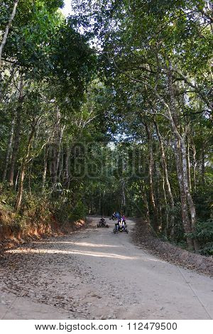 The Tourist Drive Wooden  Rickshaw Go Down The Hill