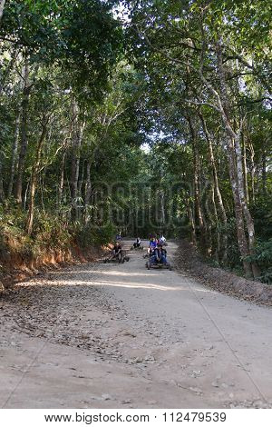 The Tourist Drive Wooden  Rickshaw Go Down The Hill