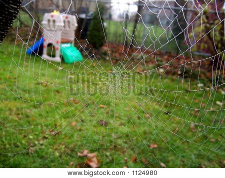 Web novembre 