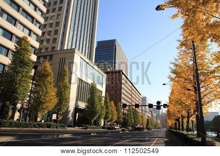 autumn leaves along Hibiya avenue Hibiya Tokyo Japan