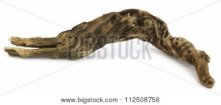 Bogwood Over White Background